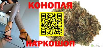 прущие грибы Славгород