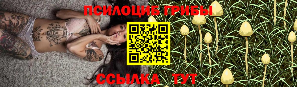 Псилоцибиновые грибы Magic Shrooms Ногинск