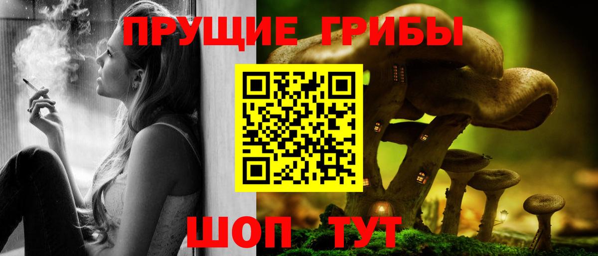 Галлюциногенные грибы Magic Shrooms  Вход с VPN  Ногинск 